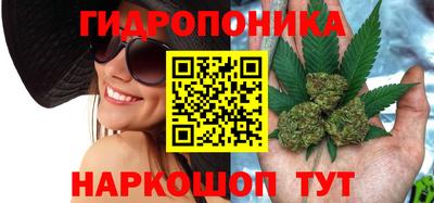 крисы Заводоуковск