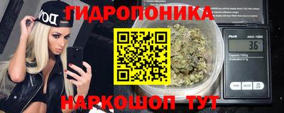 шишки Изобильный