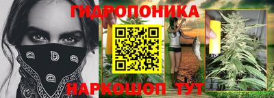 крисы Заводоуковск